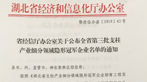 乐鱼网页版登录入口-乐鱼（中国）
被认定为“湖北省支柱产业细分领域隐形冠军示范企业”